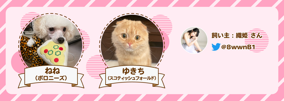 織姫さんインタビューヘッダー