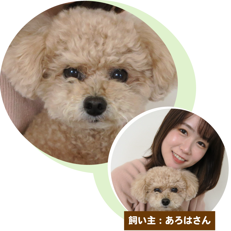 ふわっちであろはさんのプロフィールを見る