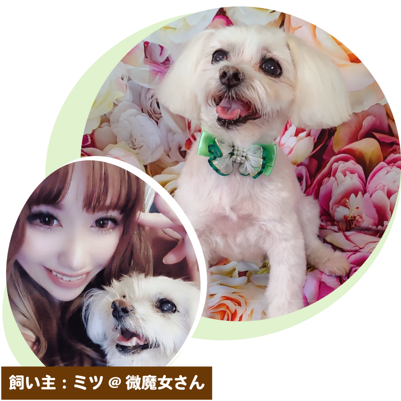 ふわっちでミツ@微魔女さんのプロフィールを見る