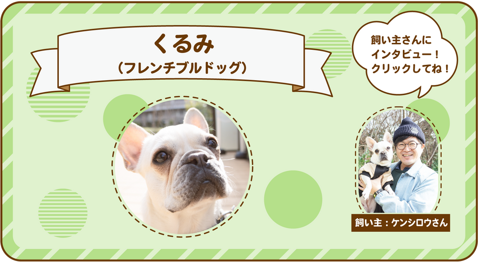 ケンシロウさんのインタビューページ