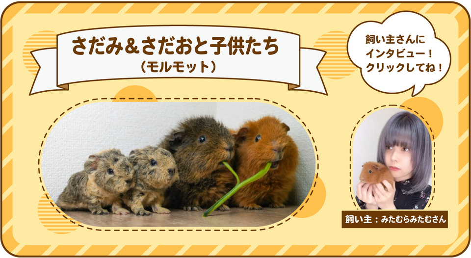 みたむらみたむさんのインタビューページ