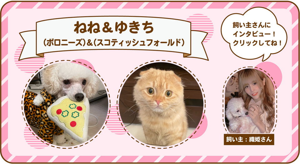 織姫さんのインタビューページ