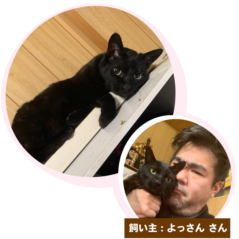 ふわっちでよっさんさんのプロフィールを見る